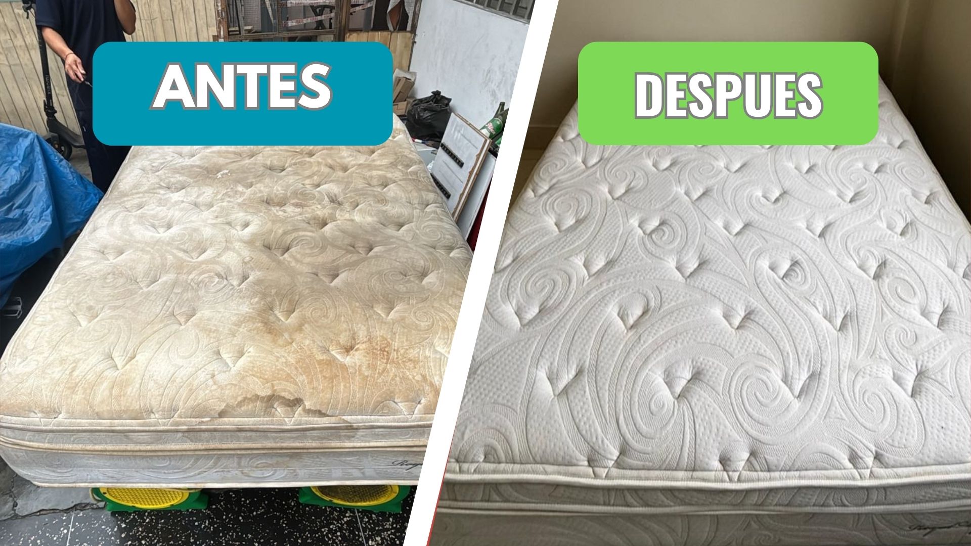 Limpieza profesional de colchones - SADEC