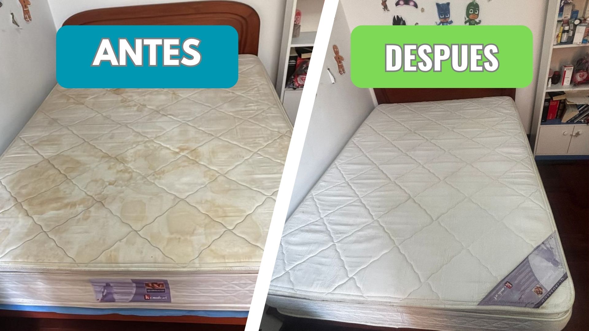 Resultados de limpieza de tapicería