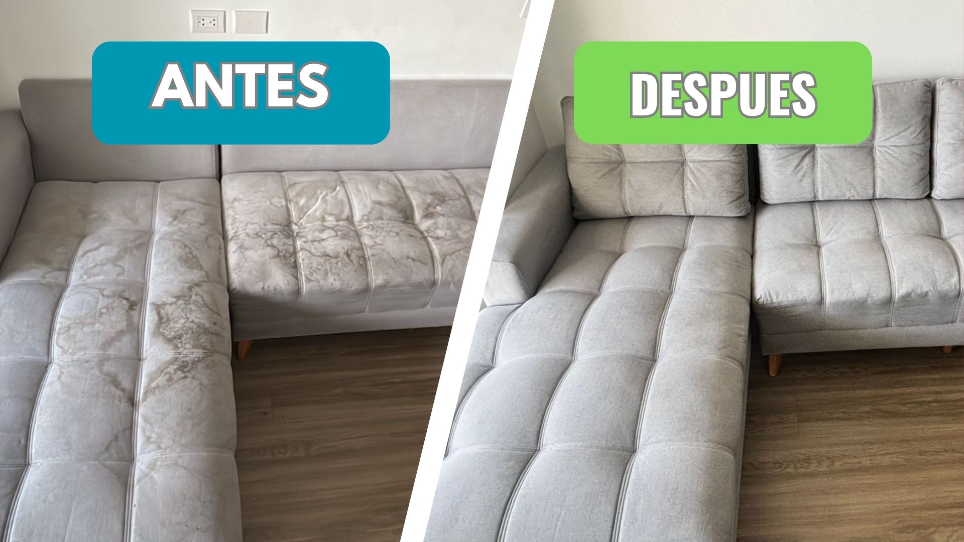 Sala renovada con tapicería limpia